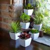 Potted Succulent (Set of 6) 7"H Ceramic/Plastic