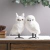 White Owl (Set of 4) 8.75"H, 10.5"H Foam