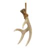 Antler (Set of 12) 5"H Resin