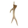 Antler (Set of 12) 5"H Resin