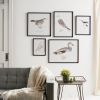 Bird Print Frame (Set of 5) 15.75"H, 17.75"H, 23.5"H, 21.75"SQ, 21.75"H Wood/MDF