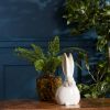 Bunny (Set of 2) 11.75"H Terra Cotta