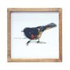 Framed Bird Print (Set of 4) 9.5"SQ MDF/Wood