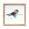 Framed Bird Print (Set of 4) 9.5"SQ MDF/Wood