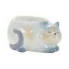 Cat Planter (Set of 4) 6"L x 2.5"H, 6"L x 3"H Terra Cotta