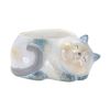 Cat Planter (Set of 4) 6"L x 2.5"H, 6"L x 3"H Terra Cotta