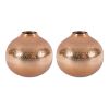 Vase (Set of 2) 8"D x 7.5"H Aluminum