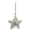 Star Ornament (Set of 4) 6.5"H Iron