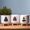 Pot (Set of 3) 5.5"D x 6.25"H Dolomite