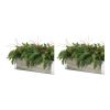 Pine Centerpiece (Set of 2) 20"L x 10.5"H Plastic/Wood
