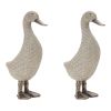 Duck (Set of 2) 12.375"H Resin