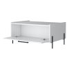 White Coffee Table with Flip-Down Door