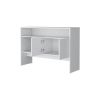 White Console Table with Two Doors