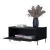Black Coffee Table with Flip-Down Door