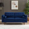 Casey Velvet Loveseat